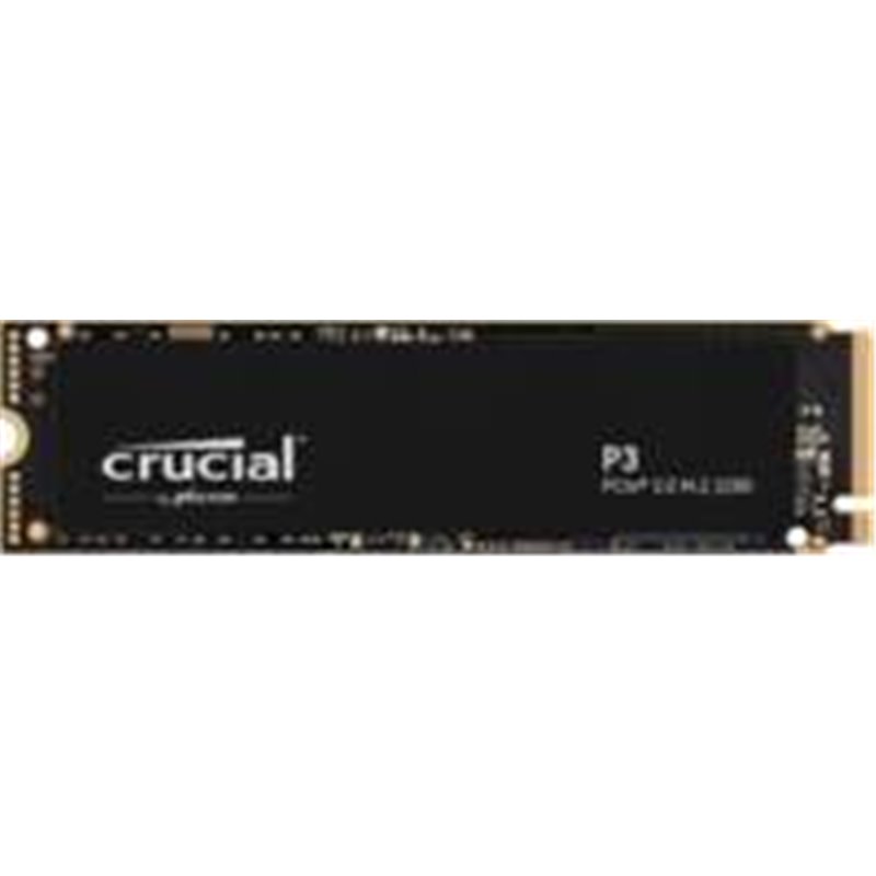 CT1000P3SSD8