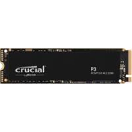 CT1000P3SSD8